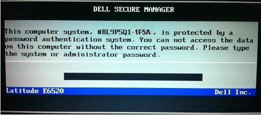 Dell Precision 1F5A Bios Master Password
